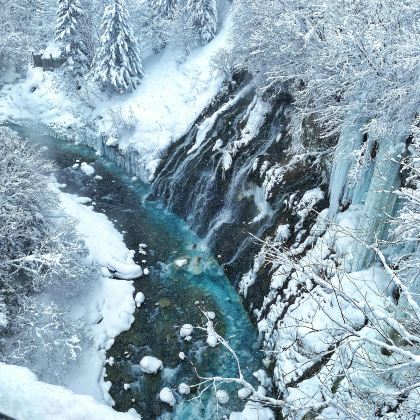日本北海道札幌+带广+钏路市+阿寒湖+层云峡+网走市+旭山动物园+美瑛町6日5晚拼小团 日本北海道札幌+带广+钏路市+阿寒湖+层云峡+网走市+旭山动物园+美瑛町6日5晚拼小团