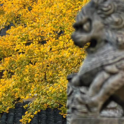 绍兴+宁波4日3晚私家团 绍兴+宁波4日3晚私家团