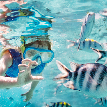 马来西亚吉隆坡+热浪岛6日4晚跟团游 马来西亚吉隆坡+热浪岛6日4晚跟团游