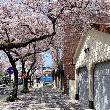 济州岛4日3晚私家团 济州岛4日3晚私家团