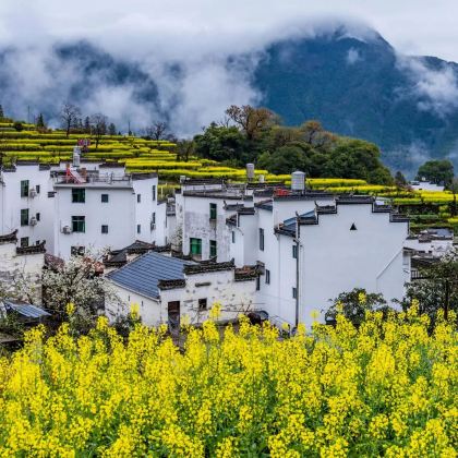 婺源+黄山5日4晚私家团 婺源+黄山5日4晚私家团