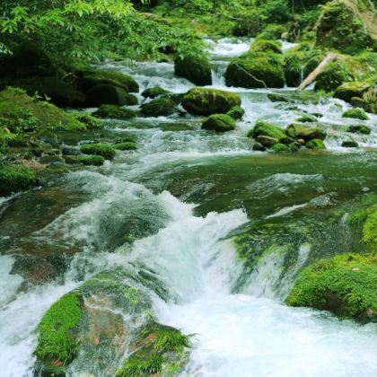 张家界+天门山+凤凰古城+永州6日5晚私家团 张家界+天门山+凤凰古城+永州6日5晚私家团