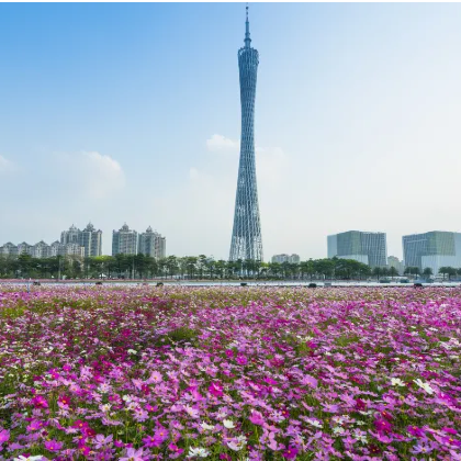 广州+深圳+惠州+双月湾+巽寮湾6日5晚私家团