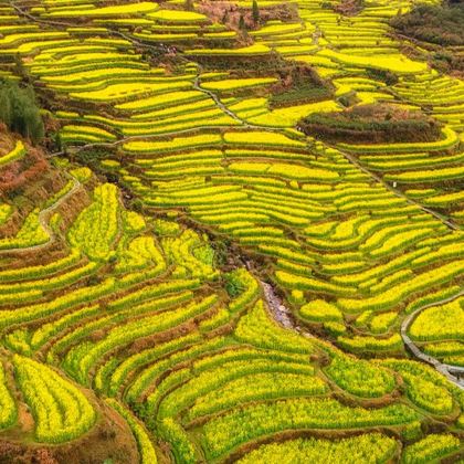 江西南昌+庐山+景德镇+婺源+三清山风景区5日4晚跟团游 江西南昌+庐山+景德镇+婺源+三清山风景区5日4晚跟团游