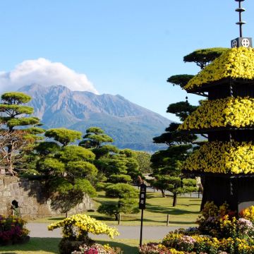 福冈+熊本县+鹿儿岛县7日私家团 福冈+熊本县+鹿儿岛县7日私家团