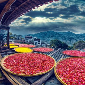 宏村+黄山风景区+婺源篁岭景区3日2晚跟团游 宏村+黄山风景区+婺源篁岭景区3日2晚跟团游