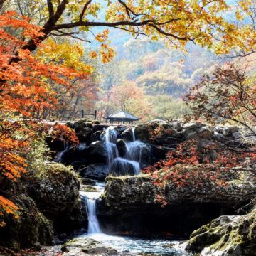 沈阳+本溪+盘锦+丹东+大连7日6晚跟团游 沈阳+本溪+盘锦+丹东+大连7日6晚跟团游