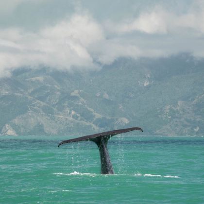 新西兰环岛15日12晚私家团 新西兰环岛15日12晚私家团