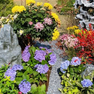 扬州2日1晚跟团游 扬州2日1晚跟团游