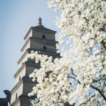 西安5日4晚私家团 西安5日4晚私家团