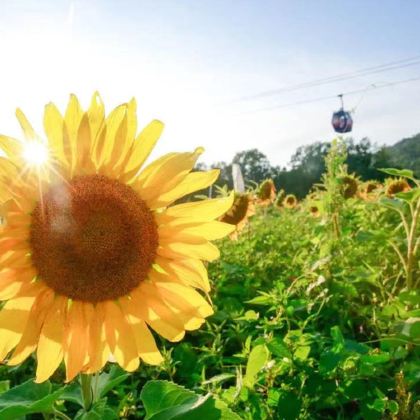 长白山5日4晚私家团