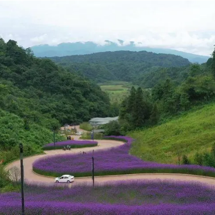 雅安+望鱼古镇+世外乡村海子山国际生态康养旅游度假区2日1晚私家团 雅安+望鱼古镇+世外乡村海子山国际生态康养旅游度假区2日1晚私家团