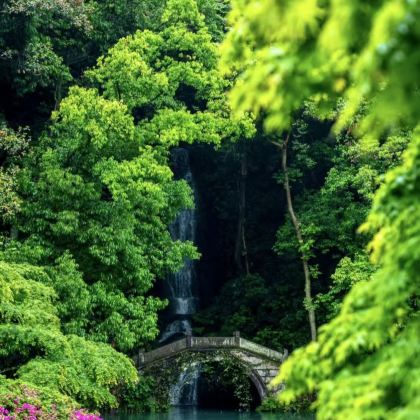 杭州+莫干山风景名胜区3日2晚私家团 杭州+莫干山风景名胜区3日2晚私家团