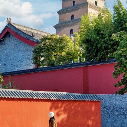 秦始皇帝陵博物院(兵马俑)+乾陵+黄帝陵+陕西黄河壶口瀑布6日5晚拼小团 秦始皇帝陵博物院(兵马俑)+乾陵+黄帝陵+陕西黄河壶口瀑布6日5晚拼小团