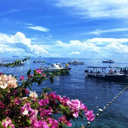 马来西亚沙巴仙本那7日6晚私家团 马来西亚沙巴仙本那7日6晚私家团