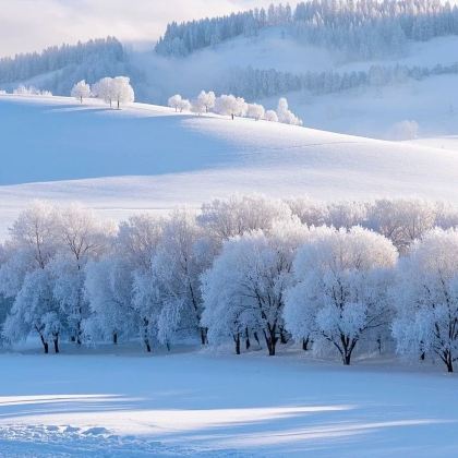 秦皇岛+北戴河+承德+木兰围场+乌兰布统草原5日4晚私家团 秦皇岛+北戴河+承德+木兰围场+乌兰布统草原5日4晚私家团