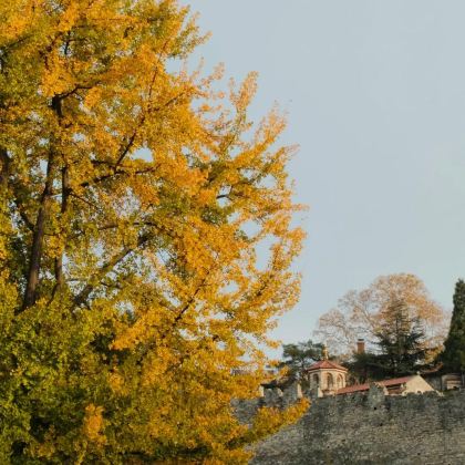 阿尔巴尼亚+塞尔维亚+黑山+波黑9日7晚拼小团 阿尔巴尼亚+塞尔维亚+黑山+波黑9日7晚拼小团