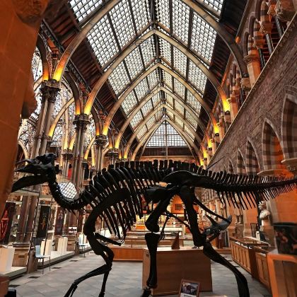 英国伦敦+牛津+剑桥+巴斯+科茨沃尔德+七姐妹悬崖+布莱顿霍夫10日9晚私家团 英国伦敦+牛津+剑桥+巴斯+科茨沃尔德+七姐妹悬崖+布莱顿霍夫10日9晚私家团