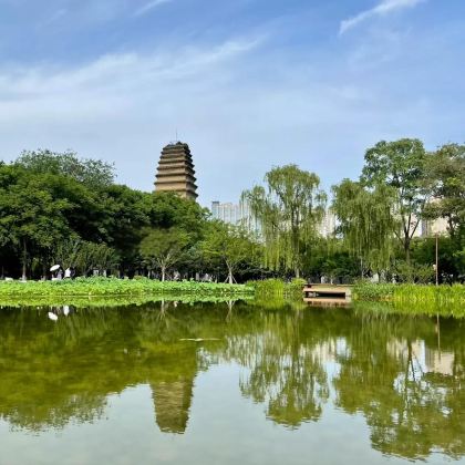 秦始皇帝陵博物院(兵马俑)+华清宫+西安博物院+回民街+大唐不夜城+乾陵+法门文化景区+黄帝陵+陕西黄河壶口瀑布6日5晚拼小团 秦始皇帝陵博物院(兵马俑)+华清宫+西安博物院+回民街+大唐不夜城+乾陵+法门文化景区+黄帝陵+陕西黄河壶口瀑布6日5晚拼小团