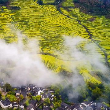 江西望仙谷+三清山风景区+婺源4日3晚私家团 江西望仙谷+三清山风景区+婺源4日3晚私家团