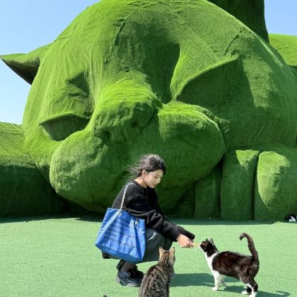 淮安西游乐园+肥猫岛+周恩来故居+淮安府署+中国漕运博物馆3日2晚私家团 淮安西游乐园+肥猫岛+周恩来故居+淮安府署+中国漕运博物馆3日2晚私家团