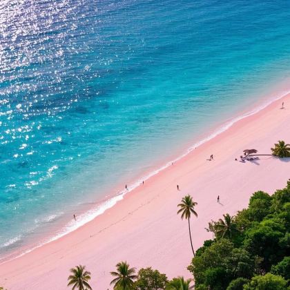 印度尼西亚泗水+布罗莫火山+科莫多+巴厘岛9日7晚拼小团 印度尼西亚泗水+布罗莫火山+科莫多+巴厘岛9日7晚拼小团