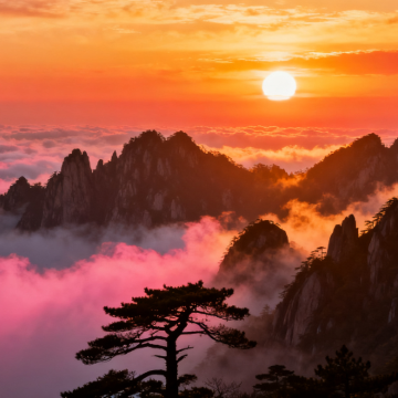 黄山风景区+婺源+宏村4日3晚跟团游 黄山风景区+婺源+宏村4日3晚跟团游