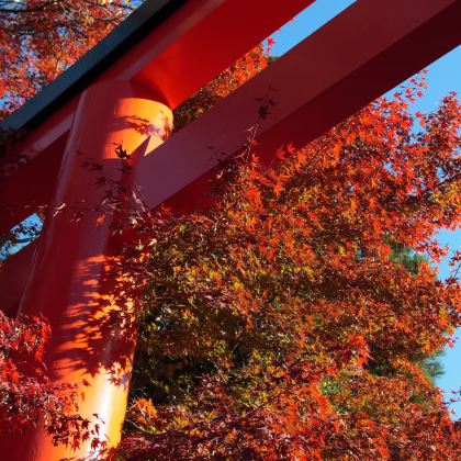 日本大阪+京都+奈良6日5晚拼小团 日本大阪+京都+奈良6日5晚拼小团