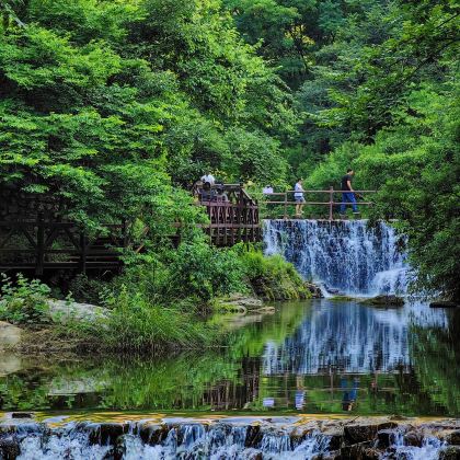 河南洛阳+老君山景区+郑州+安阳殷墟博物馆+红旗渠8日7晚私家团 河南洛阳+老君山景区+郑州+安阳殷墟博物馆+红旗渠8日7晚私家团