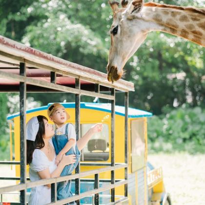 广州长隆旅游度假区+珠海长隆旅游度假区3日2晚拼小团 广州长隆旅游度假区+珠海长隆旅游度假区3日2晚拼小团