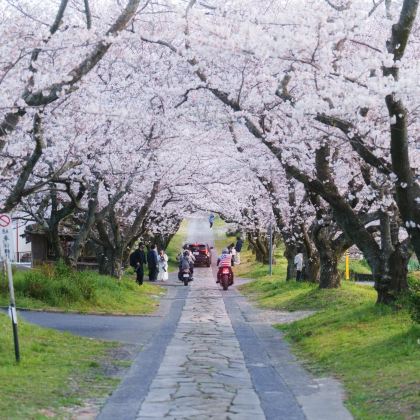 日本关东地区+东京+富士山+箱根+札幌+登别+函馆+洞爷湖町+东京大学+本栖湖+河口湖+山中湖+芦之湖+四季彩之丘+五棱郭公园16日15晚私家团 日本关东地区+东京+富士山+箱根+札幌+登别+函馆+洞爷湖町+东京大学+本栖湖+河口湖+山中湖+芦之湖+四季彩之丘+五棱郭公园16日15晚私家团