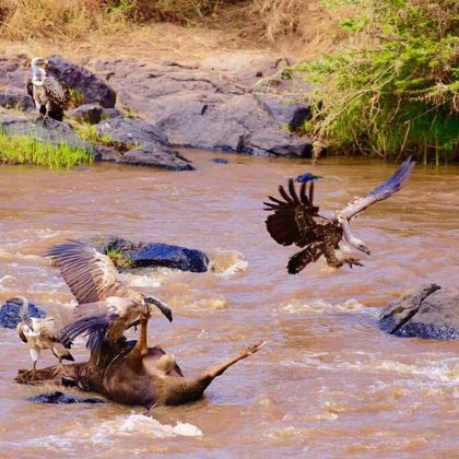 肯尼亚+阿联酋迪拜13日11晚自由行 肯尼亚+阿联酋迪拜13日11晚自由行