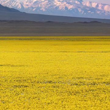 哈萨克斯坦+乌兹别克斯坦8日6晚跟团游 哈萨克斯坦+乌兹别克斯坦8日6晚跟团游