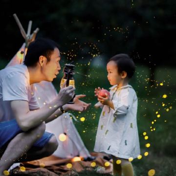 云南西双版纳+普洱5日4晚私家团 云南西双版纳+普洱5日4晚私家团