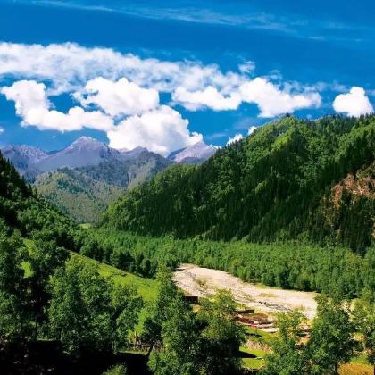 西宁+佑宁寺+彩虹部落土族园+油嘴湾花海+北山国家森林公园+扎碾公路+瞿昙寺+中国柳湾彩陶博物馆5日4晚私家团 西宁+佑宁寺+彩虹部落土族园+油嘴湾花海+北山国家森林公园+扎碾公路+瞿昙寺+中国柳湾彩陶博物馆5日4晚私家团