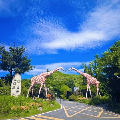 湖州+溧阳4日3晚私家团 湖州+溧阳4日3晚私家团