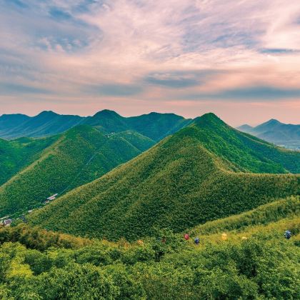 溧阳天目湖南山竹海+天目湖山水园+牛首山文化旅游区+佛光祖庭大觉寺+云湖风景区+玄武湖景区+雨花台8日5晚跟团游 溧阳天目湖南山竹海+天目湖山水园+牛首山文化旅游区+佛光祖庭大觉寺+云湖风景区+玄武湖景区+雨花台8日5晚跟团游
