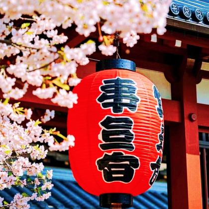 日本大阪+京都+奈良+富士山+东京6日5晚跟团游 日本大阪+京都+奈良+富士山+东京6日5晚跟团游