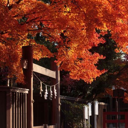 日本大阪+京都+奈良5日4晚拼小团 日本大阪+京都+奈良5日4晚拼小团