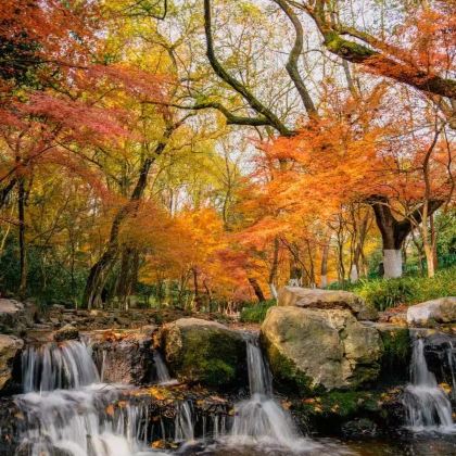 杭州+乌镇+苏州4日3晚私家团 杭州+乌镇+苏州4日3晚私家团