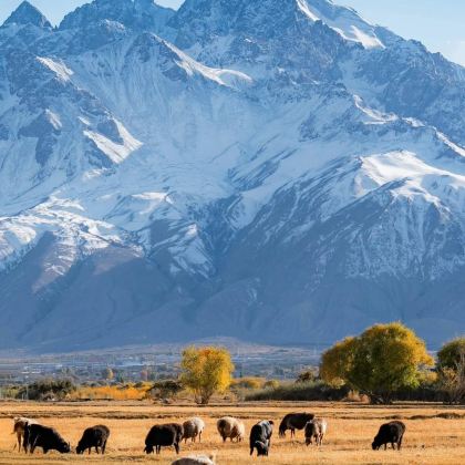 新疆南疆+塔里木胡杨林公园+喀什古城8日7晚自由行 新疆南疆+塔里木胡杨林公园+喀什古城8日7晚自由行