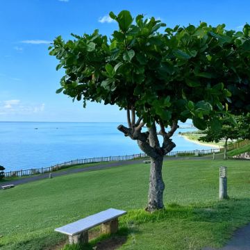 日本冲绳市+那霸5日4晚私家团 日本冲绳市+那霸5日4晚私家团