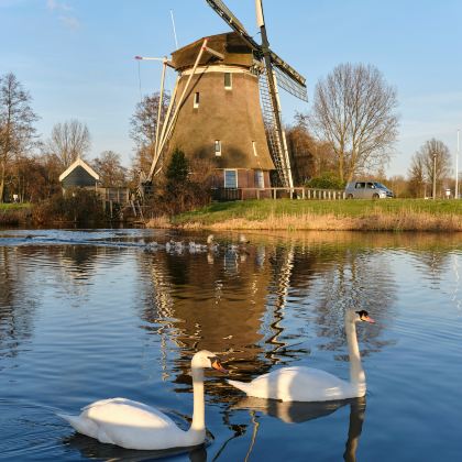 阿姆斯特丹+海牙+鹿特丹+爱因霍温+德哈尔古堡11日10晚私家团 阿姆斯特丹+海牙+鹿特丹+爱因霍温+德哈尔古堡11日10晚私家团