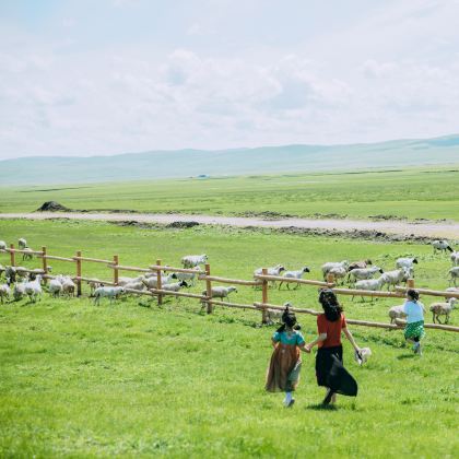 北戴河+避暑山庄+坝上+木兰围场+乌兰布统旅游区6日5晚私家团 北戴河+避暑山庄+坝上+木兰围场+乌兰布统旅游区6日5晚私家团