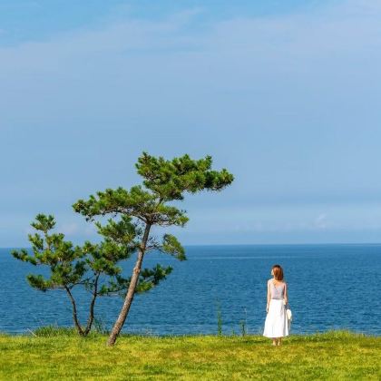 青岛+威海+烟台+蓬莱5日4晚拼小团 青岛+威海+烟台+蓬莱5日4晚拼小团