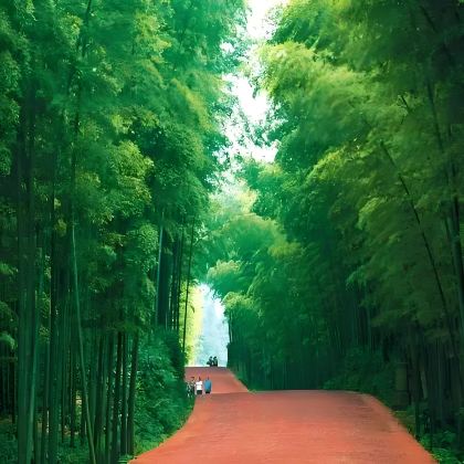 宜宾+合江门+李庄旅游度假区+横江古镇+蜀南竹海+南充+凌云山风景区+阆中古城7日6晚私家团 宜宾+合江门+李庄旅游度假区+横江古镇+蜀南竹海+南充+凌云山风景区+阆中古城7日6晚私家团