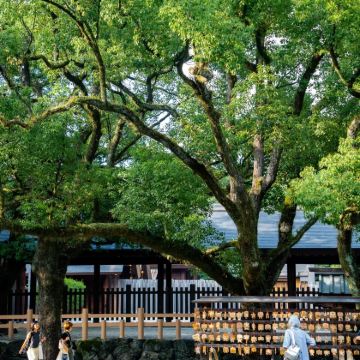 日本名古屋+飞驒高山+金泽+美浓市+白川乡6日5晚私家团 日本名古屋+飞驒高山+金泽+美浓市+白川乡6日5晚私家团