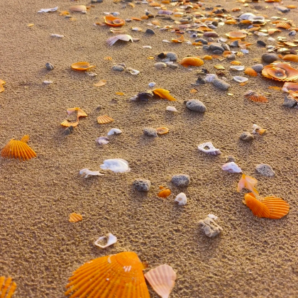 湛江+中国大陆南极村3日2晚跟团游 湛江+中国大陆南极村3日2晚跟团游