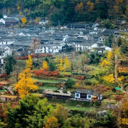 余姚四明湖+李家坑古村落+柿林村2日1晚私家团 余姚四明湖+李家坑古村落+柿林村2日1晚私家团