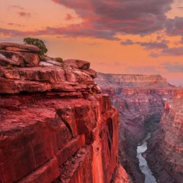 名校参访美国加州 10 日夏令营藤校摇篮插班体验 + UCLA / 南加大名校研学 + 结业证书认证+寄宿家庭沉浸式语言提升+美西经典景点全游览 名校参访美国加州 10 日夏令营藤校摇篮插班体验 + UCLA / 南加大名校研学 + 结业证书认证+寄宿家庭沉浸式语言提升+美西经典景点全游览